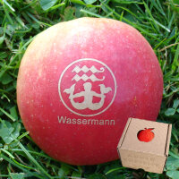 Apfel mit Branding Sternzeichen Wassermann