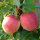 Rewena Bio-Äpfel 5kg