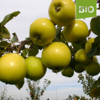 Bio-Apfel Ernst Bosch