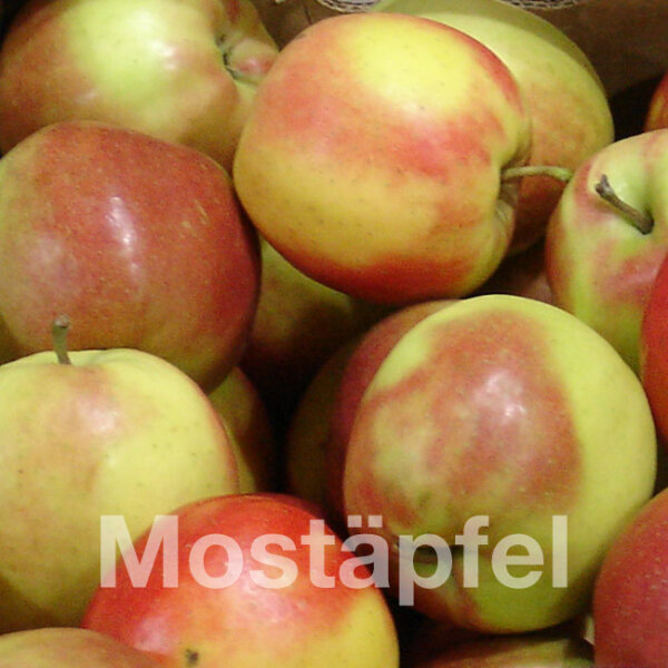 Mostäpfel, 13kg Bio-Jonagold-Saftäpfel