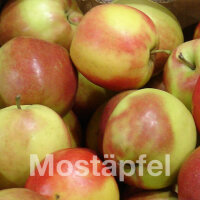 Mostäpfel, 13kg Bio-Jonagold-Saftäpfel|truncate:60