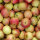 Apfel-Probierpaket - Beliebte Apfelsorten 5kg