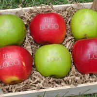 3 grüne und 3 rote LOGO-Äpfel in rustikaler Obstkiste