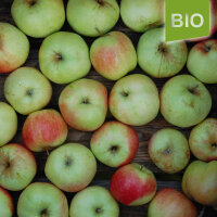 Filippa Bio-Äpfel 6kg|truncate:60