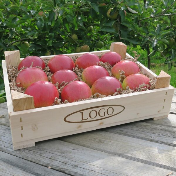 Rote Äpfel in Obststeige niedrig mit Logo-Branding
