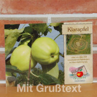 Grußkarte Klarapfel|truncate:60