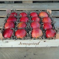 Jonagored Bio-Äpfel 3kg-Kiste|truncate:60