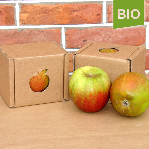 Bio-Apfel Einzelbox / Holsteiner Cox