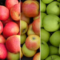 Bio-Äpfel 3kg-Steige / Probierpaket mit 3 Sorten
