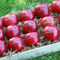 15 rote LOGO-Äpfel in Obstkiste dekorativ verpackt