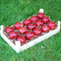 15 rote LOGO-Äpfel in Obstkiste dekorativ verpackt