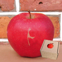 Sylt - Apfel mit Branding