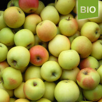 Engelsberger Renette Bio-Äpfel 5kg|truncate:60