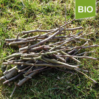 Bio-Knabberholz - Deko-Apfelholz|truncate:60