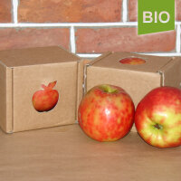 Bio-Apfel der Sorte Gravensteiner|truncate:60