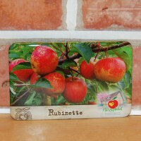 Magnet (Flexi) Rubinette Apfel