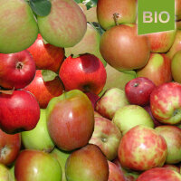 Apfel-Probierpaket - Frühe Apfelsorten