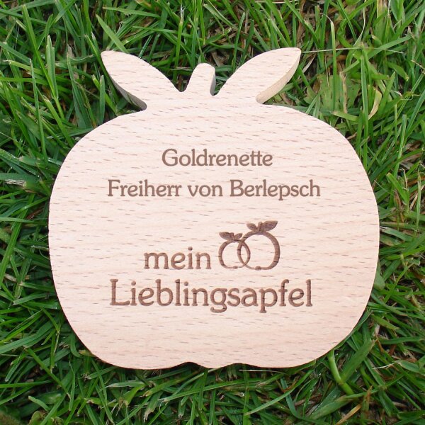 Goldrenette Freiherr von Berlepsch, dekorativer Holzapfel