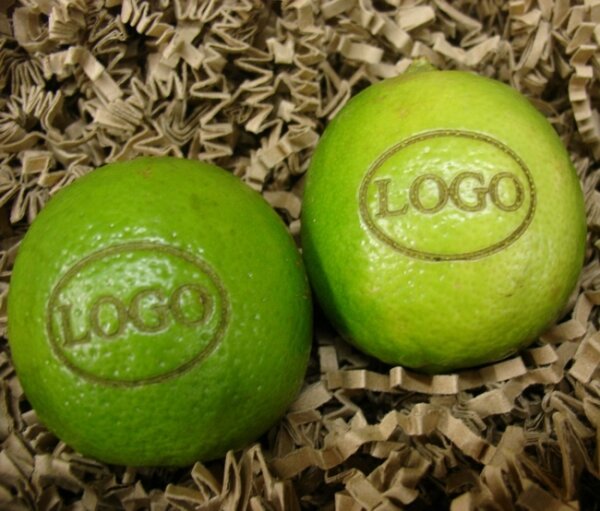 LOGO-Limette