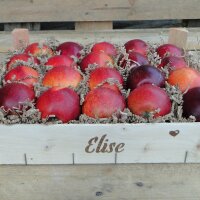 Elise Bio-Äpfel 3kg-Kiste|truncate:60