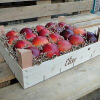 Elise Bio-Äpfel 3kg-Kiste