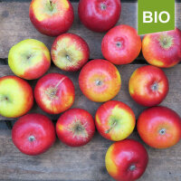 Bio Topaz Äpfel - coole Minis 5kg