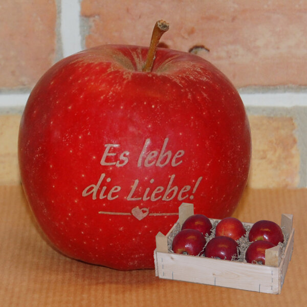 Liebesapfel rot / Es lebe die Liebe! / 6 Äpfel Holzkiste / Kiste ohne Branding