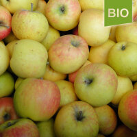 Bittenfelder Sämling Bio-Äpfel 5kg|truncate:60