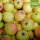 Bittenfelder Sämling Bio-Äpfel 5kg