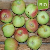 Lohrer Rambur Bio-Apfel 5kg|truncate:60