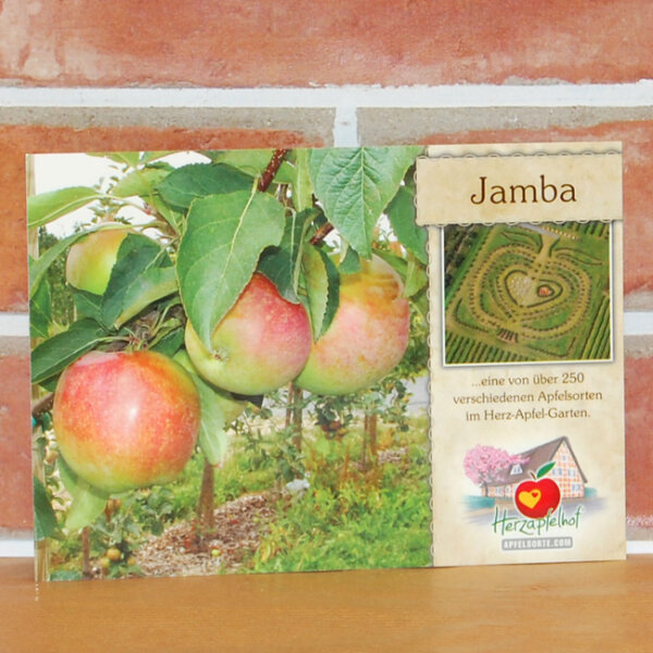 Ansichtskarte Jamba Apfel