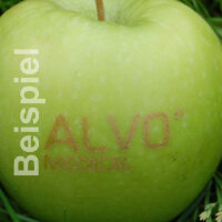 4 grüne Logo-Äpfel! Laser in 4er Apple Tray verpackt