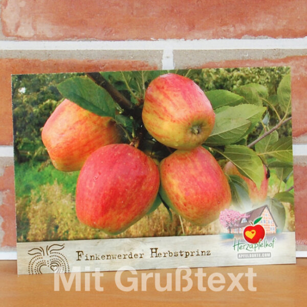 Grußkarte Finkenwerder Herbstprinz Apfel II
