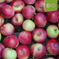 Mc. Intosh Bio-Äpfel 5kg|truncate:60