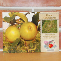 Ansichtskarte Graue Herbstrenette Apfel|truncate:60