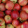 Bio-Äpfel 3kg-Steige / Elise