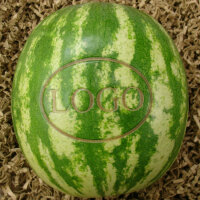 LOGO-Wassermelone
