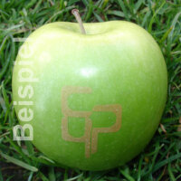 9 grüne Logo-Äpfel Laser in 9er Apple Present Box verpackt