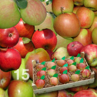 Apfelprobierkiste mit 15 Äpfel
