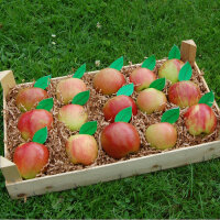 Apfelprobierkiste mit 15 Äpfeln