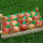 Apfelprobierkiste mit 15 Äpfel