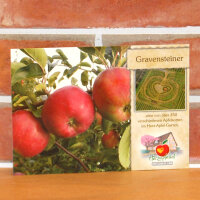 Ansichtskarte Gravensteiner Apfel|truncate:60