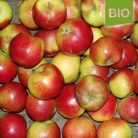 Reitenbacher Bio-Äpfel 5kg