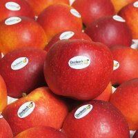 Deichperle Äpfel 6,5kg|truncate:60