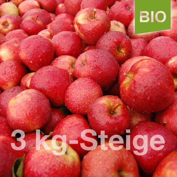 Bio-Äpfel 3kg-Steige / Red Jonaprince