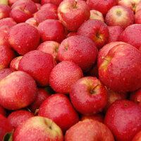 Bio-Äpfel 3kg-Steige / Red Jonaprince