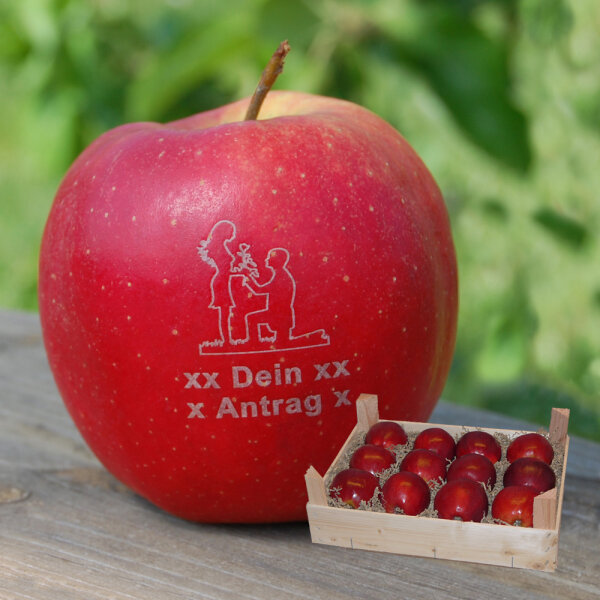 Liebesapfel rot / Dein Antrag + 2 Textzeilen / 12 Äpfel Holzkiste / Kiste ohne Branding