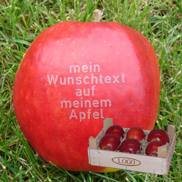 6 rote Äpfel mit Namen in Holzkiste mit Logo-Branding