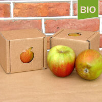 Bio-Apfel der Sorte Holsteiner Cox|truncate:60