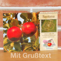 Grußkarte Santana Apfel|truncate:60